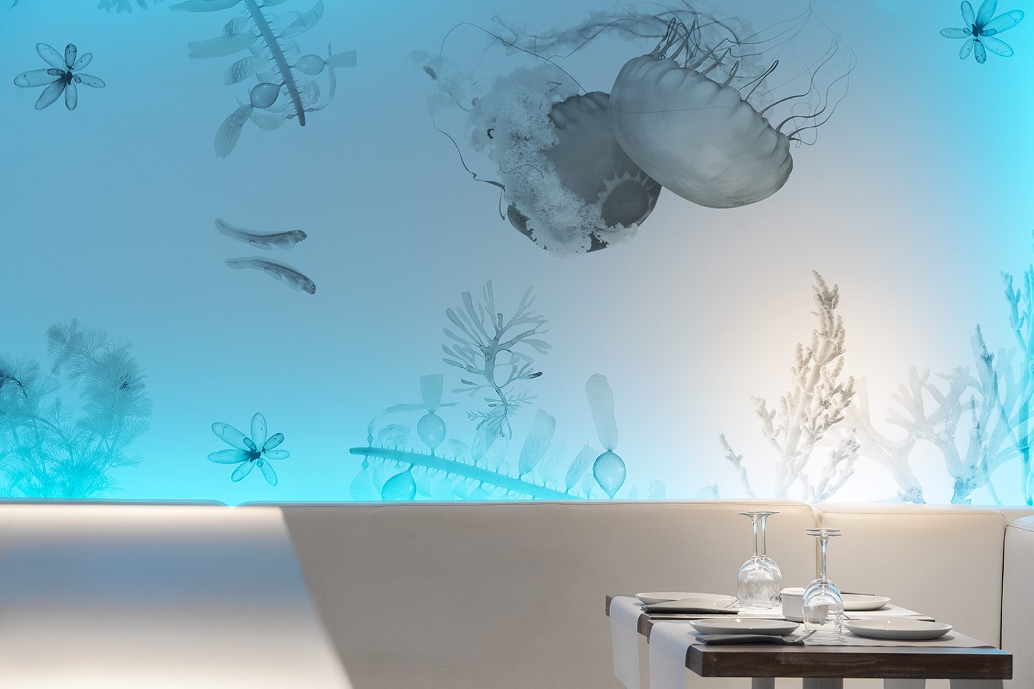 Techos-tensados-restaurante-1